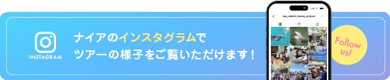 ナイアのインスタグラムでツアーの様子をご覧いただけます